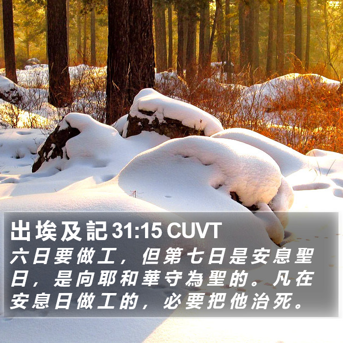 出 埃 及 記 31:15 CUVT Bible Study