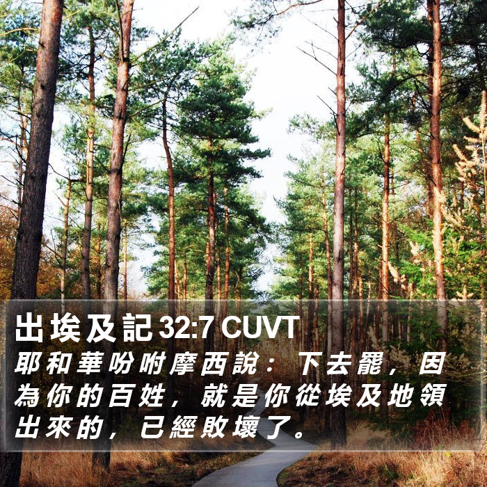 出 埃 及 記 32:7 CUVT Bible Study