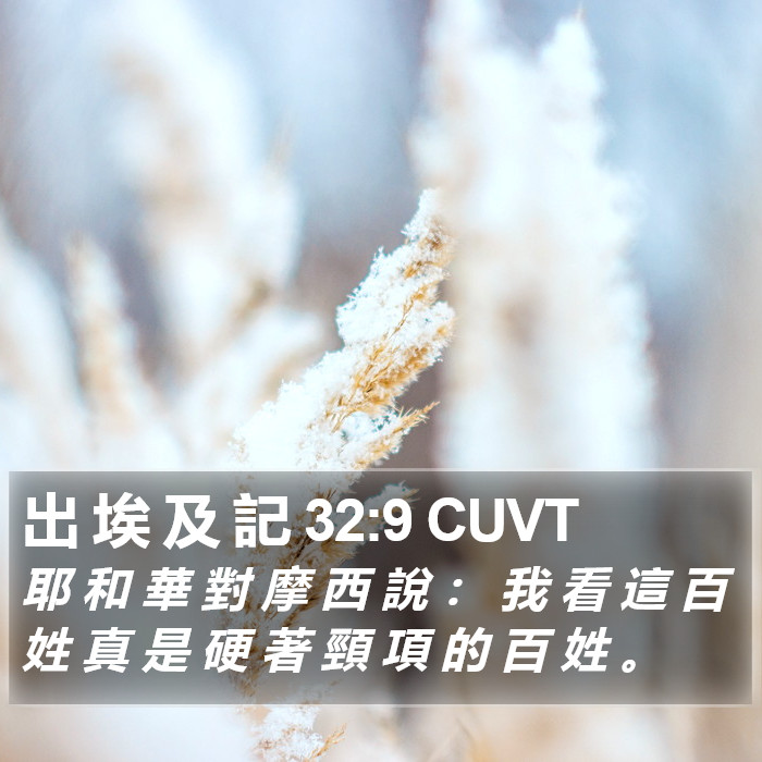 出 埃 及 記 32:9 CUVT Bible Study