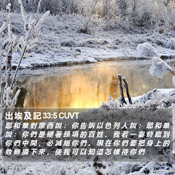 出 埃 及 記 33:5 CUVT Bible Study