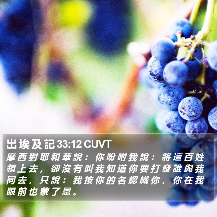 出 埃 及 記 33:12 CUVT Bible Study