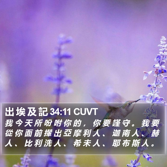 出 埃 及 記 34:11 CUVT Bible Study