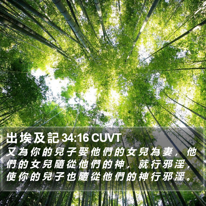 出 埃 及 記 34:16 CUVT Bible Study