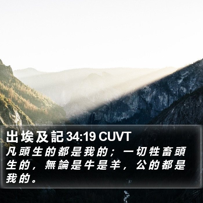 出 埃 及 記 34:19 CUVT Bible Study