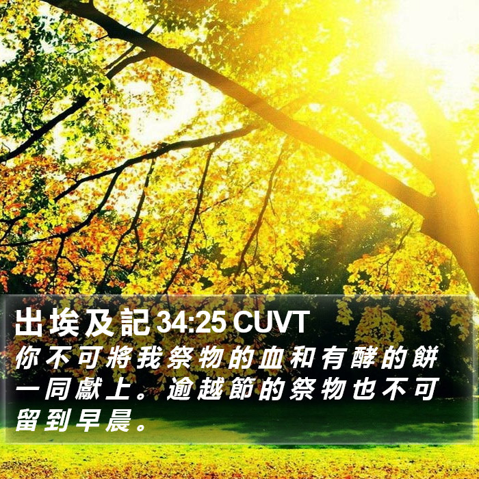 出 埃 及 記 34:25 CUVT Bible Study