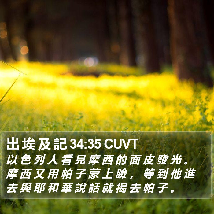 出 埃 及 記 34:35 CUVT Bible Study