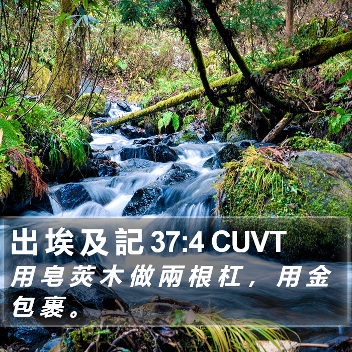 出 埃 及 記 37:4 CUVT Bible Study