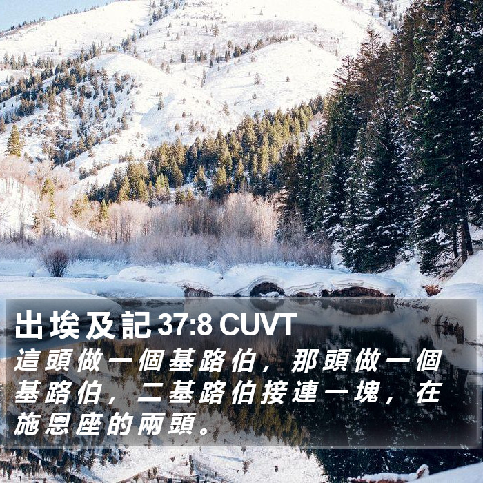 出 埃 及 記 37:8 CUVT Bible Study