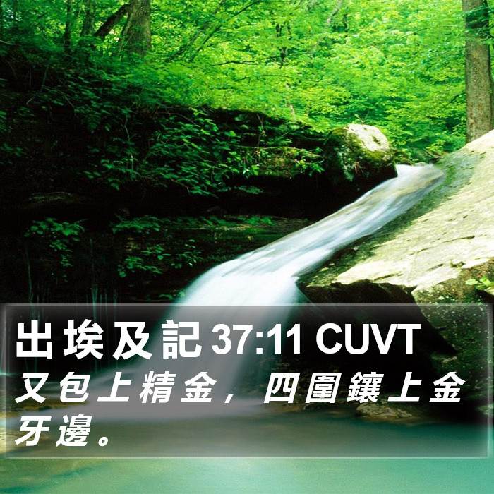 出 埃 及 記 37:11 CUVT Bible Study