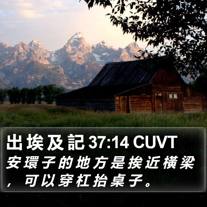 出 埃 及 記 37:14 CUVT Bible Study