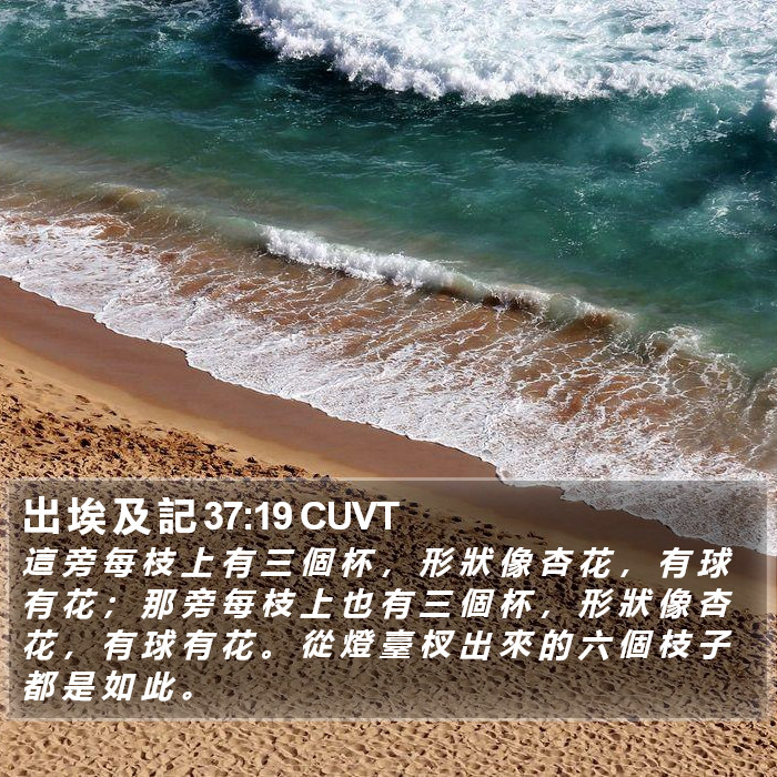 出 埃 及 記 37:19 CUVT Bible Study