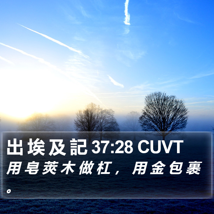 出 埃 及 記 37:28 CUVT Bible Study
