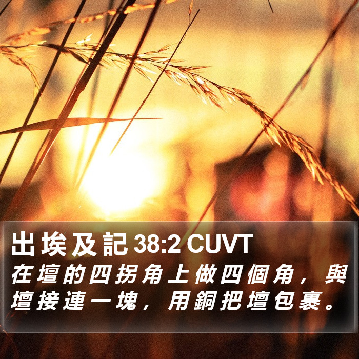 出 埃 及 記 38:2 CUVT Bible Study