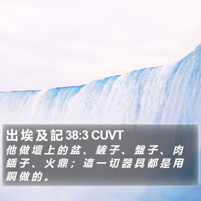 出 埃 及 記 38:3 CUVT Bible Study