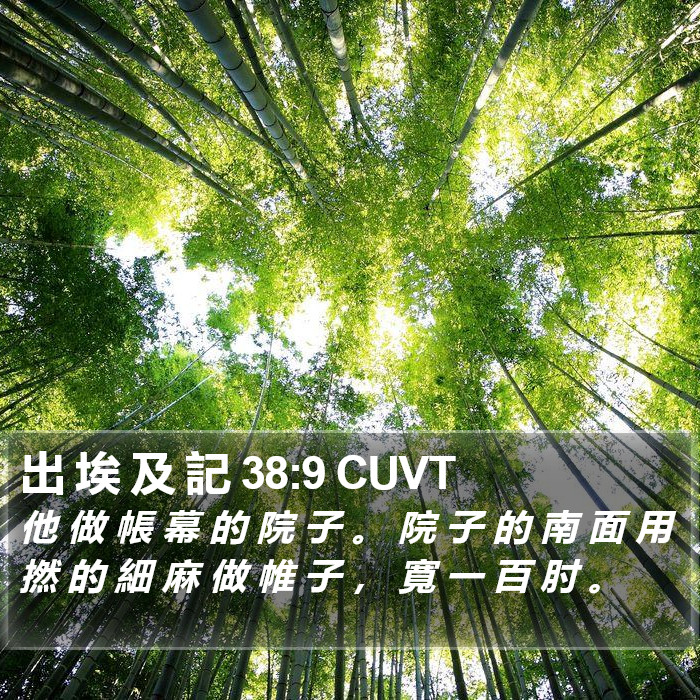 出 埃 及 記 38:9 CUVT Bible Study