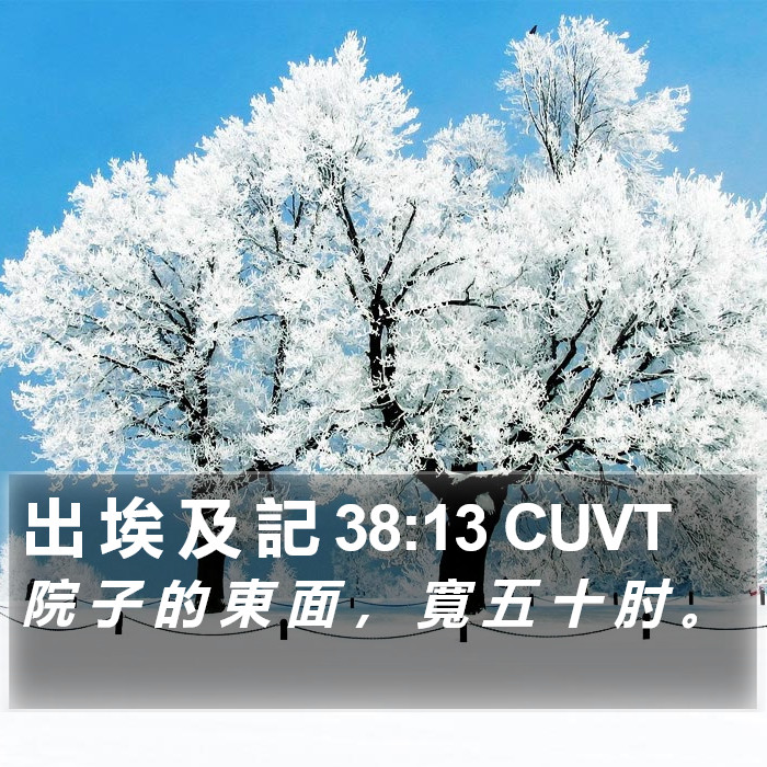 出 埃 及 記 38:13 CUVT Bible Study