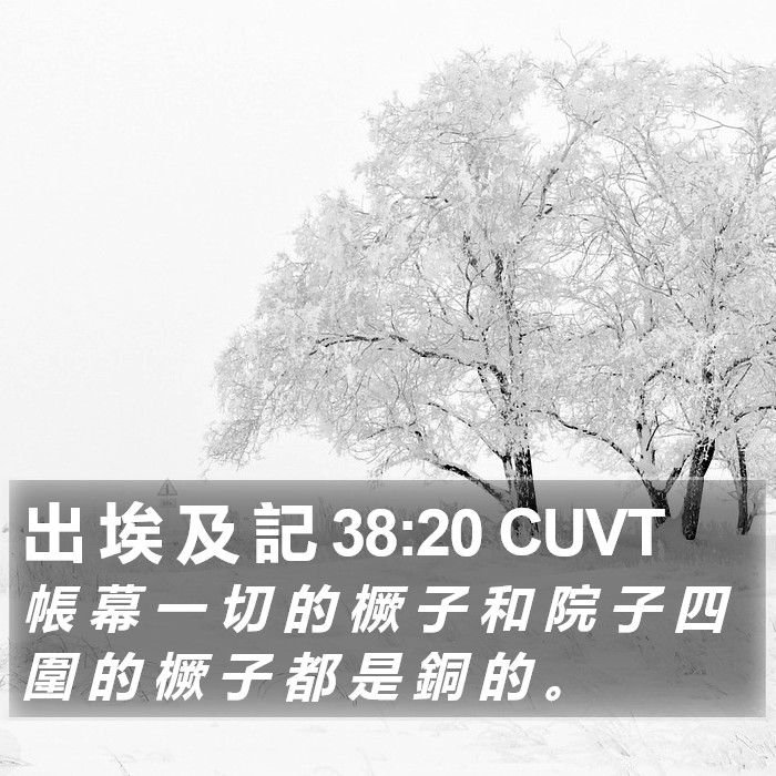 出 埃 及 記 38:20 CUVT Bible Study