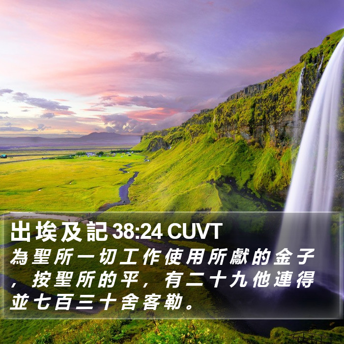 出 埃 及 記 38:24 CUVT Bible Study