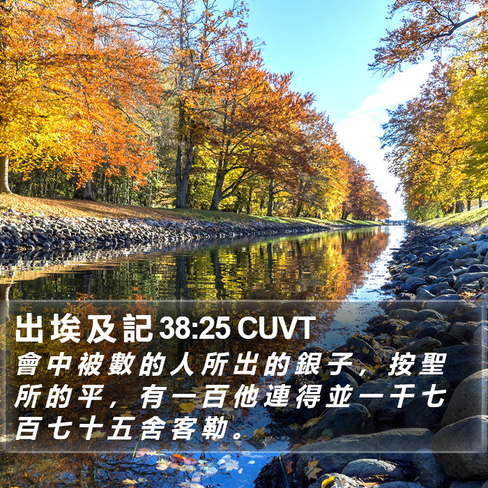 出 埃 及 記 38:25 CUVT Bible Study