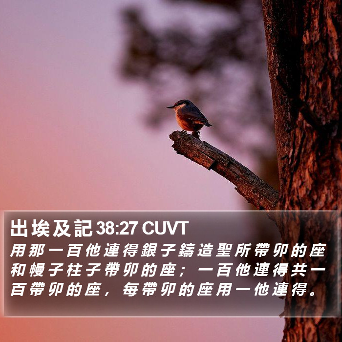 出 埃 及 記 38:27 CUVT Bible Study