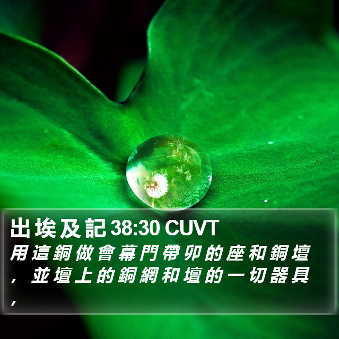 出 埃 及 記 38:30 CUVT Bible Study