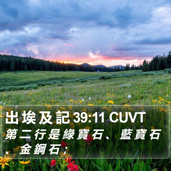 出 埃 及 記 39:11 CUVT Bible Study