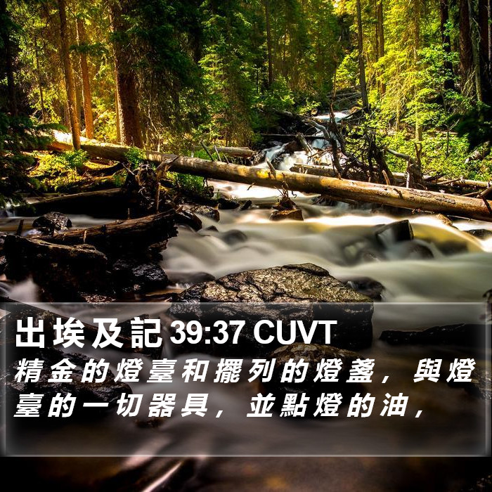 出 埃 及 記 39:37 CUVT Bible Study