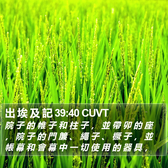 出 埃 及 記 39:40 CUVT Bible Study