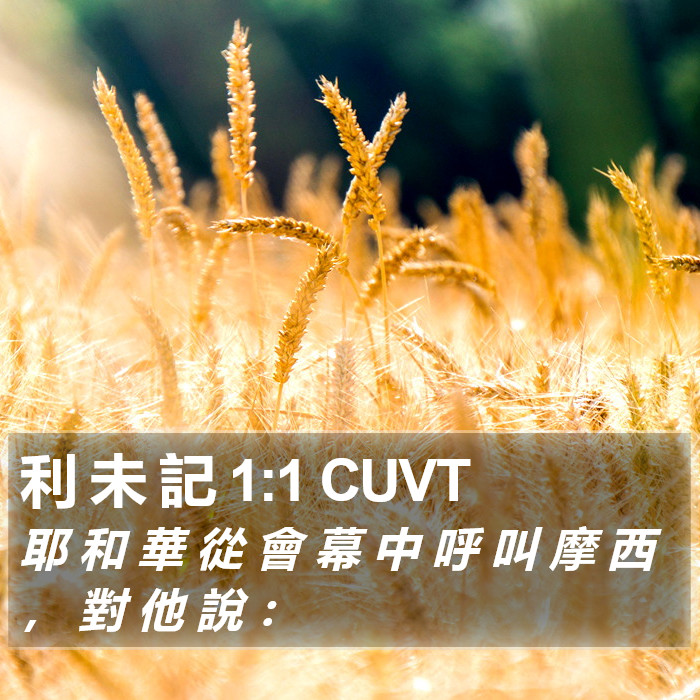 利 未 記 1:1 CUVT Bible Study