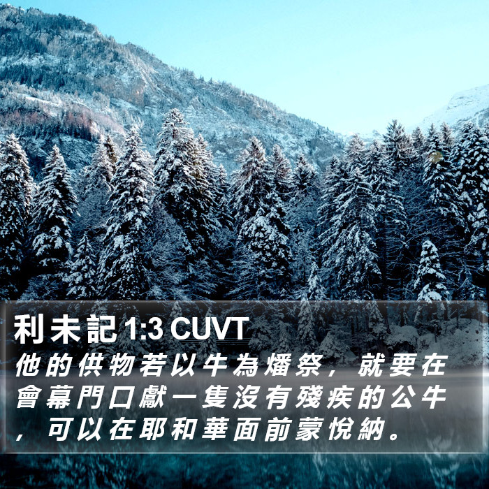 利 未 記 1:3 CUVT Bible Study