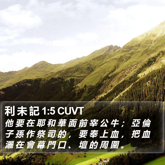 利 未 記 1:5 CUVT Bible Study