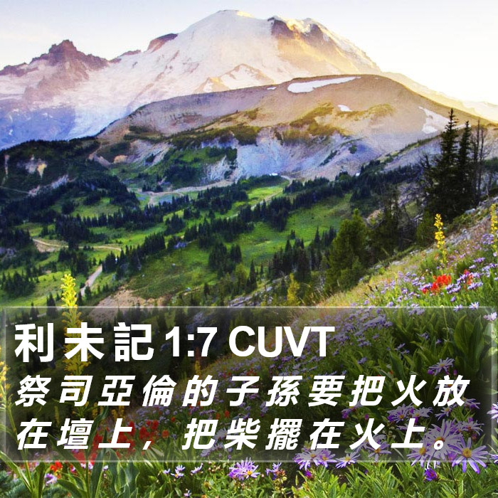 利 未 記 1:7 CUVT Bible Study