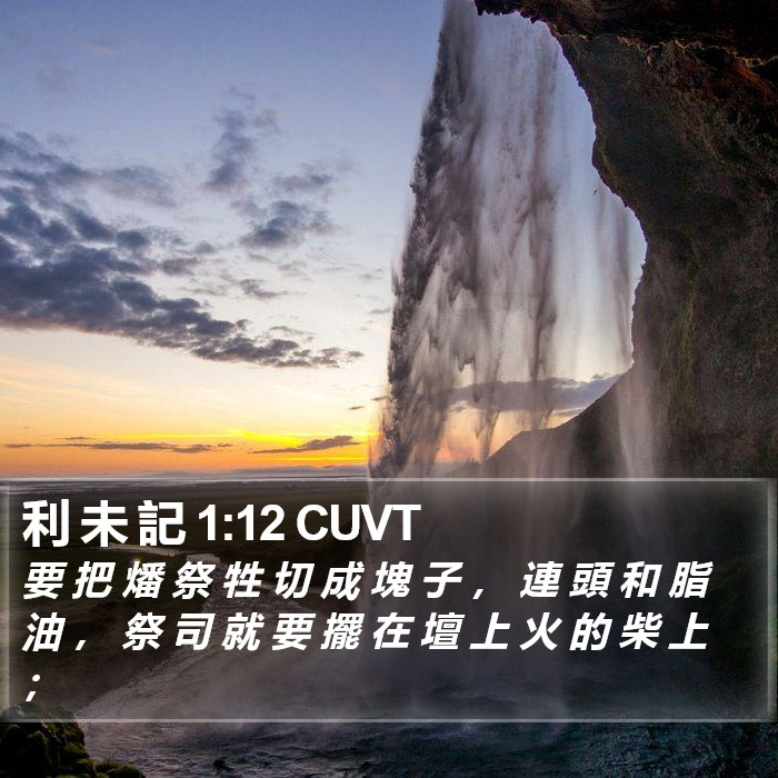 利 未 記 1:12 CUVT Bible Study