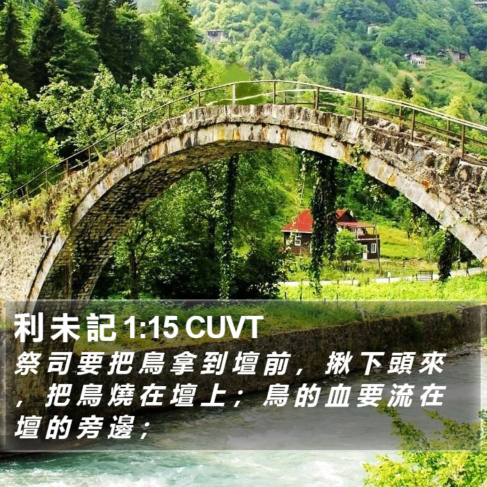 利 未 記 1:15 CUVT Bible Study