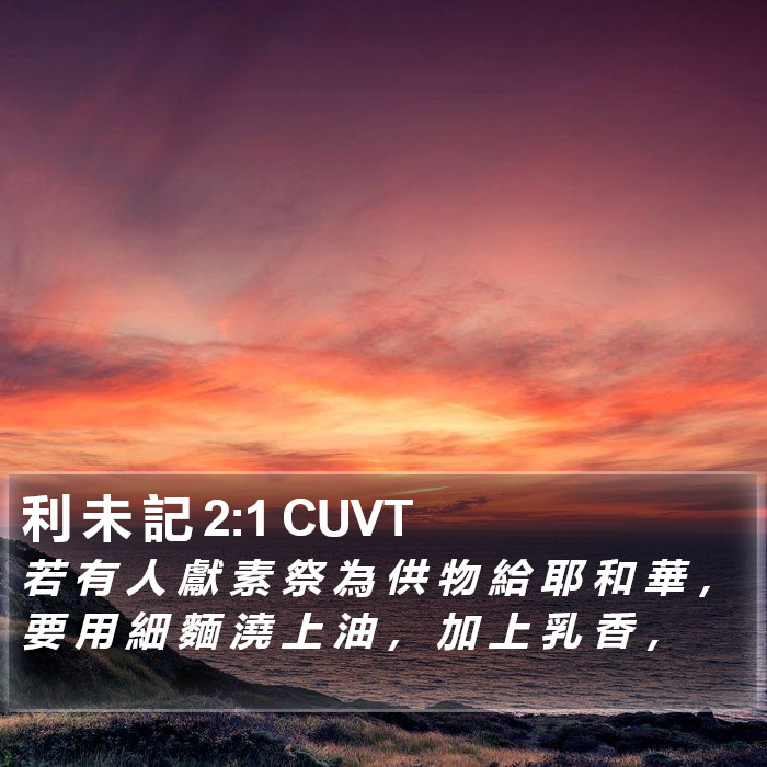 利 未 記 2:1 CUVT Bible Study