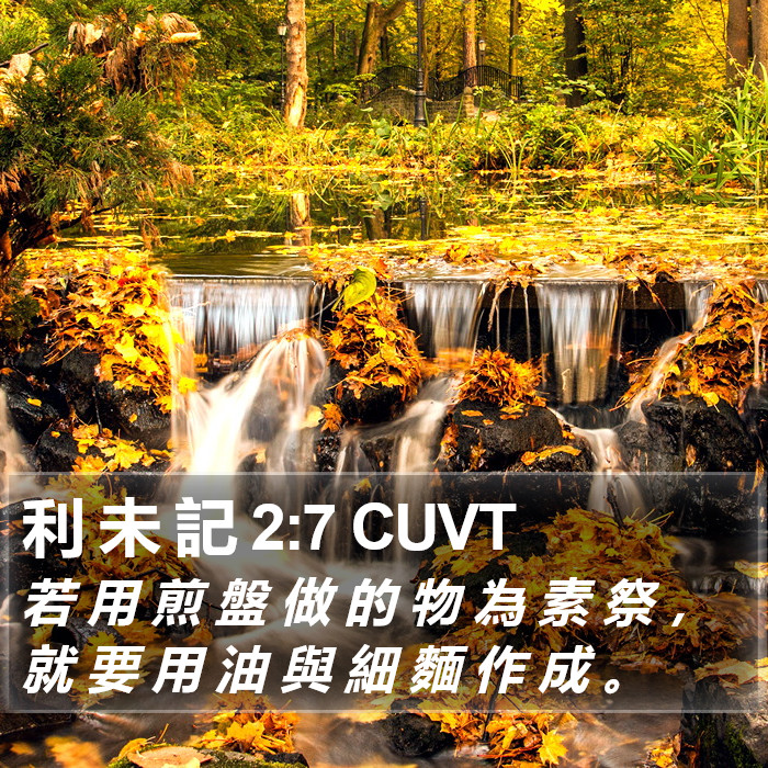 利 未 記 2:7 CUVT Bible Study