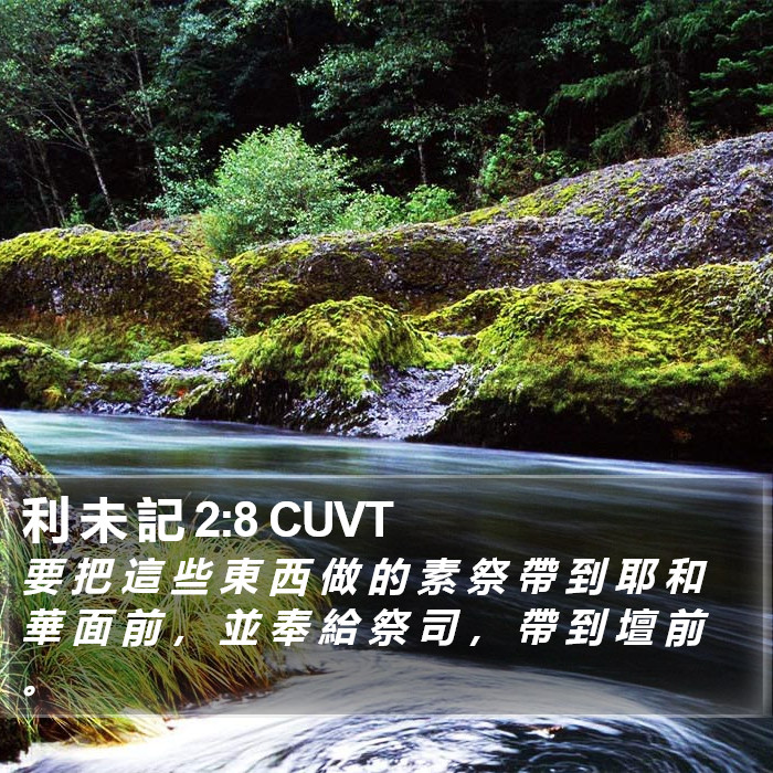 利 未 記 2:8 CUVT Bible Study