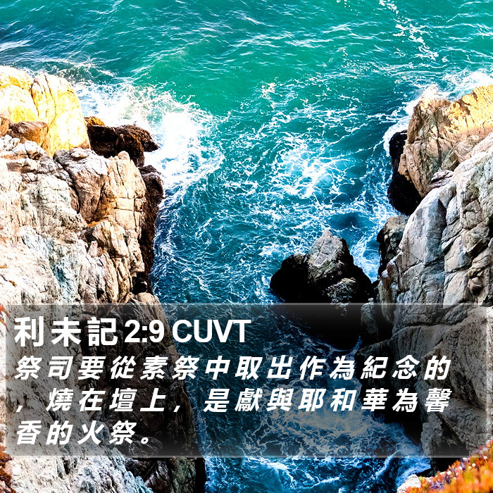 利 未 記 2:9 CUVT Bible Study