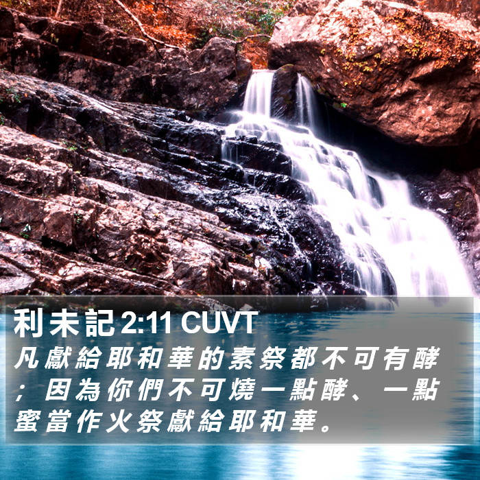 利 未 記 2:11 CUVT Bible Study