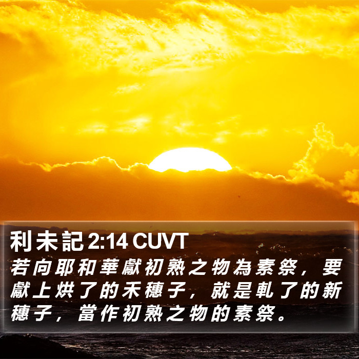 利 未 記 2:14 CUVT Bible Study