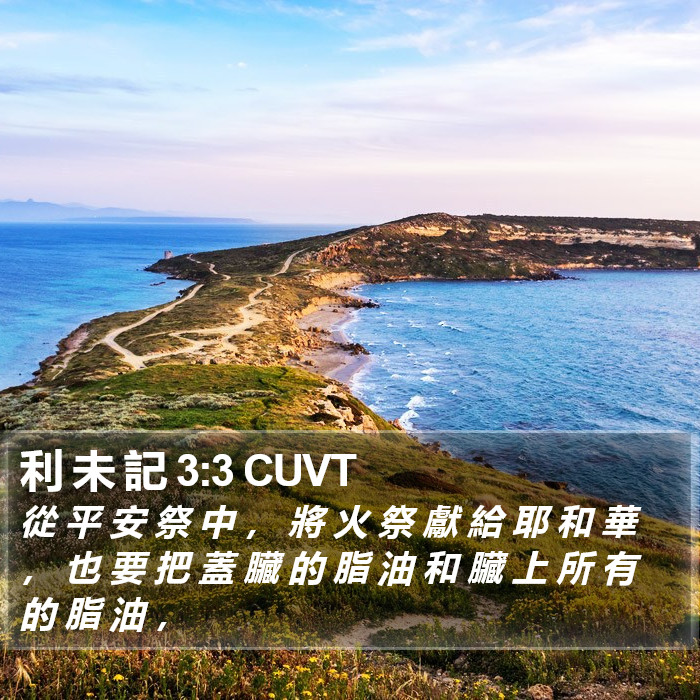 利 未 記 3:3 CUVT Bible Study