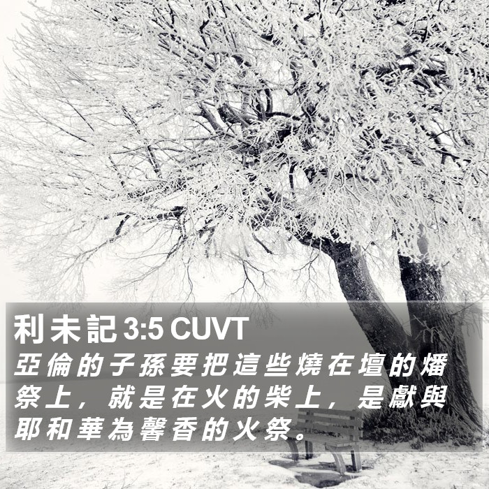 利 未 記 3:5 CUVT Bible Study