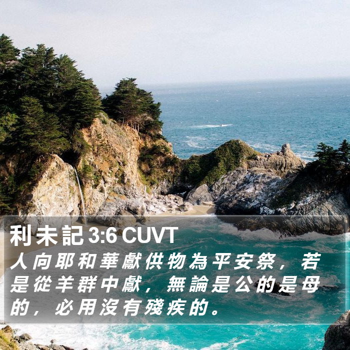 利 未 記 3:6 CUVT Bible Study
