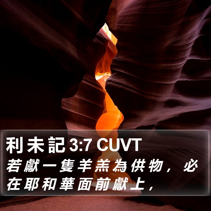 利 未 記 3:7 CUVT Bible Study