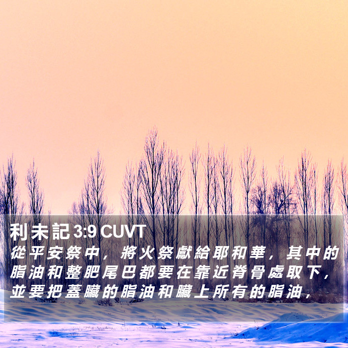 利 未 記 3:9 CUVT Bible Study