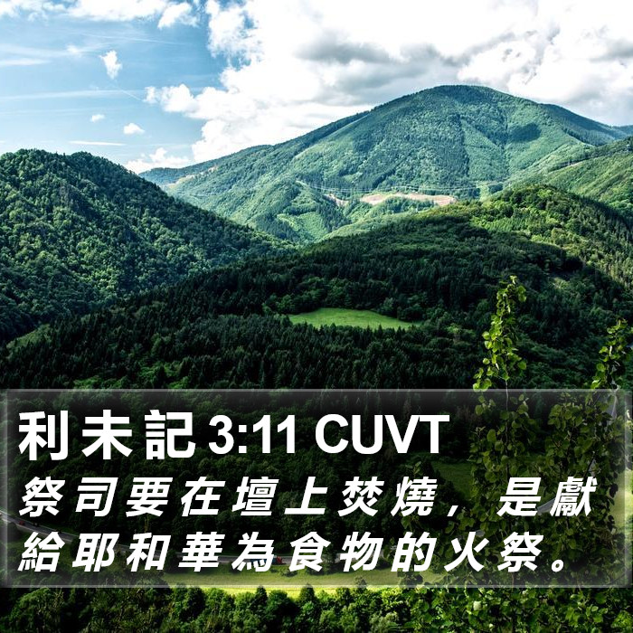 利 未 記 3:11 CUVT Bible Study
