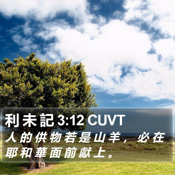 利 未 記 3:12 CUVT Bible Study