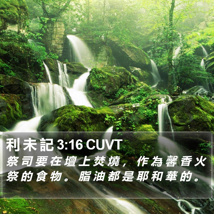 利 未 記 3:16 CUVT Bible Study