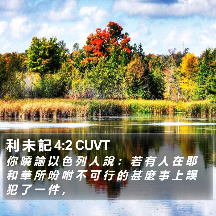 利 未 記 4:2 CUVT Bible Study