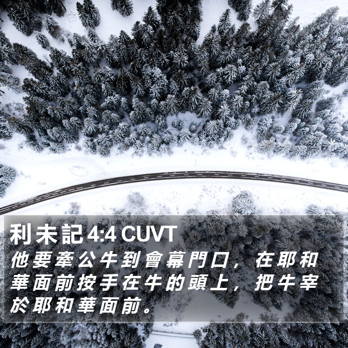 利 未 記 4:4 CUVT Bible Study